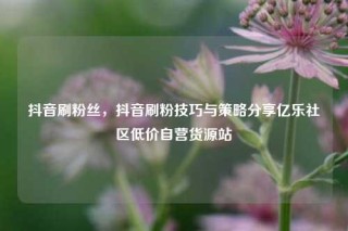 抖音刷粉丝，抖音刷粉技巧与策略分享亿乐社区低价自营货源站