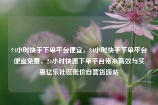 24小时快手下单平台便宜，24小时快手下单平台便宜免费，24小时快速下单平台带来高效与实惠亿乐社区低价自营货源站