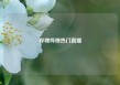 哔哩哔哩热门直播