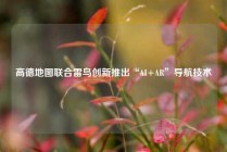 高德地图联合雷鸟创新推出“AI+AR”导航技术 