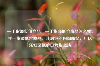 一手货源低价商品，一手货源低价商品怎么卖，手一货源低价商品，开启你的购物新纪元！亿乐社区低价自营货源站
