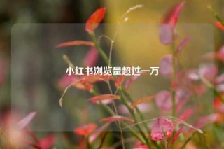 小红书浏览量超过一万