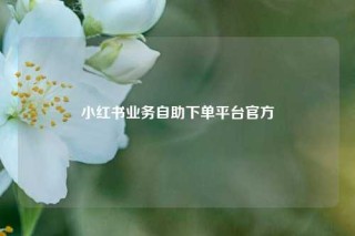 小红书业务自助下单平台官方
