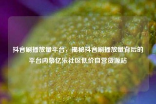 抖音刷播放量平台，揭秘抖音刷播放量背后的平台内幕亿乐社区低价自营货源站