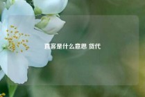 直客是什么意思 货代