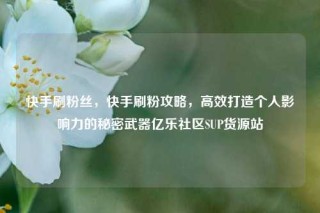快手刷粉丝，快手刷粉攻略，高效打造个人影响力的秘密武器亿乐社区SUP货源站