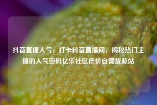 抖音直播人气，打卡抖音直播间，揭秘热门主播的人气密码亿乐社区低价自营货源站