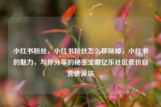 小红书粉丝，小红书粉丝怎么移除掉，小红书的魅力，与你分享的秘密宝藏亿乐社区低价自营货源站