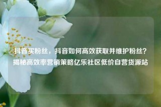 抖音买粉丝，抖音如何高效获取并维护粉丝？揭秘高效率营销策略亿乐社区低价自营货源站