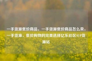 一手货源低价商品，一手货源低价商品怎么卖，一手货源，低价购物的完美选择亿乐社区SUP货源站