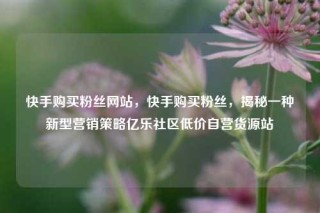 快手购买粉丝网站，快手购买粉丝，揭秘一种新型营销策略亿乐社区低价自营货源站