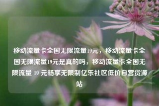 移动流量卡全国无限流量19元，移动流量卡全国无限流量19元是真的吗，移动流量卡全国无限流量 19 元畅享无限制亿乐社区低价自营货源站