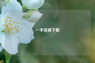 一手货源下载