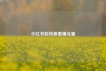 小红书如何查看曝光量