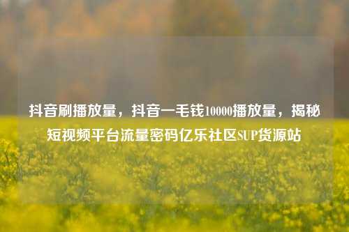 抖音刷播放量，抖音一毛钱10000播放量，揭秘短视频平台流量密码亿乐社区SUP货源站  第1张