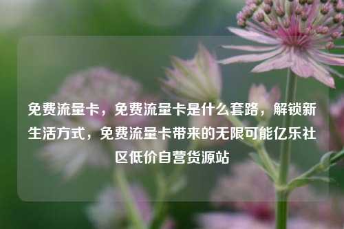 免费流量卡，免费流量卡是什么套路，解锁新生活方式，免费流量卡带来的无限可能亿乐社区低价自营货源站  第1张