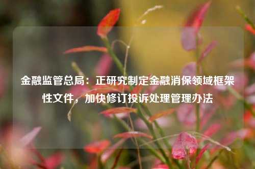 金融监管总局：正研究制定金融消保领域框架性文件，加快修订投诉处理管理办法  第1张