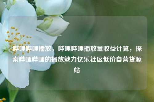 哔哩哔哩播放，哔哩哔哩播放量收益计算，探索哔哩哔哩的播放魅力亿乐社区低价自营货源站  第1张