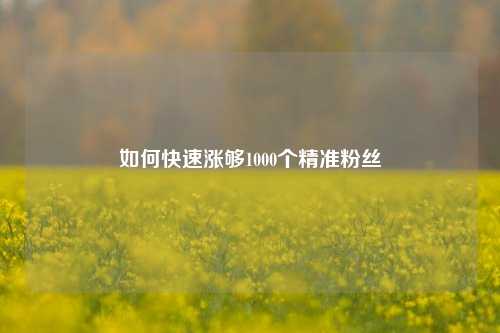 如何快速涨够1000个精准粉丝  第1张