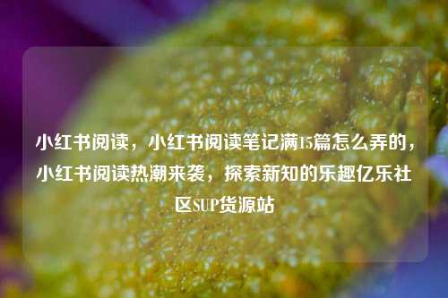 小红书阅读，小红书阅读笔记满15篇怎么弄的	，小红书阅读热潮来袭，探索新知的乐趣亿乐社区SUP货源站  第1张