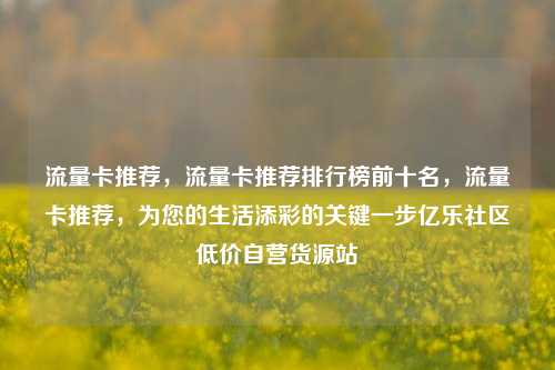 流量卡推荐	，流量卡推荐排行榜前十名，流量卡推荐，为您的生活添彩的关键一步亿乐社区低价自营货源站  第1张
