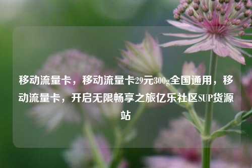 移动流量卡，移动流量卡29元300g全国通用，移动流量卡	，开启无限畅享之旅亿乐社区SUP货源站  第1张