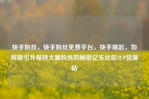 快手粉丝，快手粉丝免费平台，快手崛起	，如何吸引并保持大量粉丝的秘密亿乐社区SUP货源站  第1张