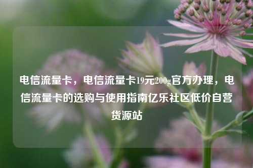 电信流量卡，电信流量卡19元200g官方办理，电信流量卡的选购与使用指南亿乐社区低价自营货源站  第1张