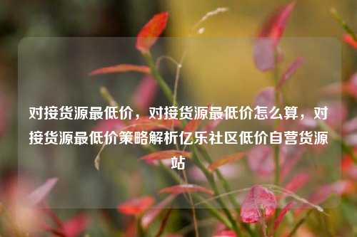对接货源最低价，对接货源最低价怎么算，对接货源最低价策略解析亿乐社区低价自营货源站  第1张
