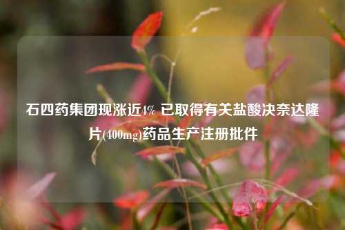 石四药集团现涨近4% 已取得有关盐酸决奈达隆片(400mg)药品生产注册批件  第1张