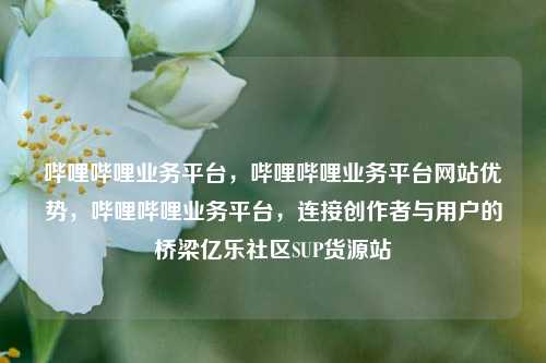 哔哩哔哩业务平台，哔哩哔哩业务平台网站优势，哔哩哔哩业务平台，连接创作者与用户的桥梁亿乐社区SUP货源站  第1张