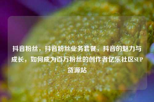 抖音粉丝，抖音粉丝业务套餐，抖音的魅力与成长	，如何成为百万粉丝的创作者亿乐社区SUP货源站  第1张