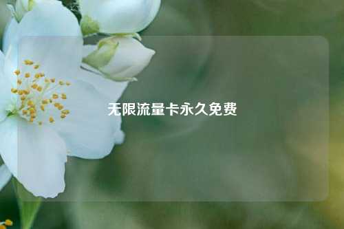 无限流量卡永久免费  第1张