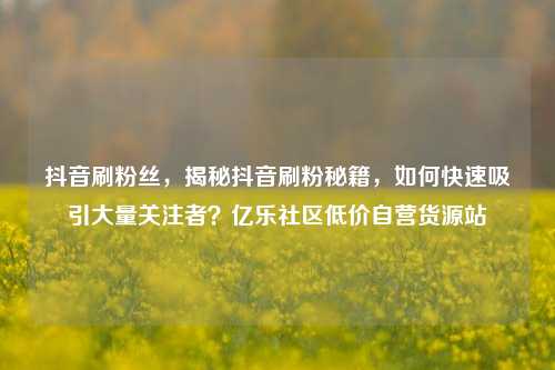 抖音刷粉丝	，揭秘抖音刷粉秘籍，如何快速吸引大量关注者？亿乐社区低价自营货源站  第1张