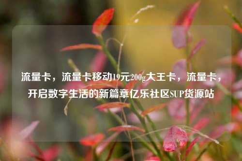 流量卡	，流量卡移动19元200g大王卡，流量卡，开启数字生活的新篇章亿乐社区SUP货源站  第1张