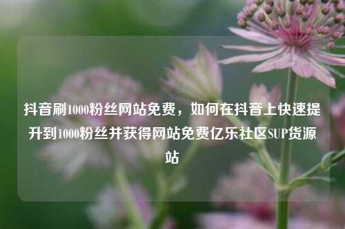 抖音刷1000粉丝网站免费，如何在抖音上快速提升到1000粉丝并获得网站免费亿乐社区SUP货源站  第1张