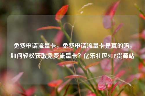 免费申请流量卡，免费申请流量卡是真的吗，如何轻松获取免费流量卡？亿乐社区SUP货源站  第1张