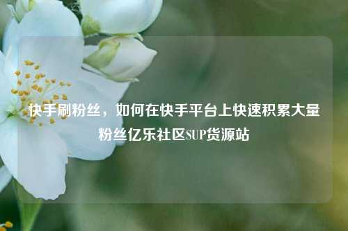 快手刷粉丝，如何在快手平台上快速积累大量粉丝亿乐社区SUP货源站  第1张