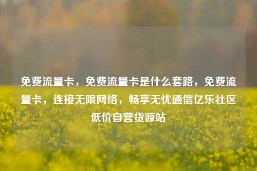 免费流量卡，免费流量卡是什么套路，免费流量卡	，连接无限网络，畅享无忧通信亿乐社区低价自营货源站  第1张