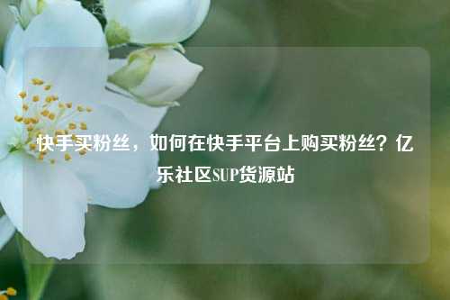 快手买粉丝	，如何在快手平台上购买粉丝？亿乐社区SUP货源站  第1张