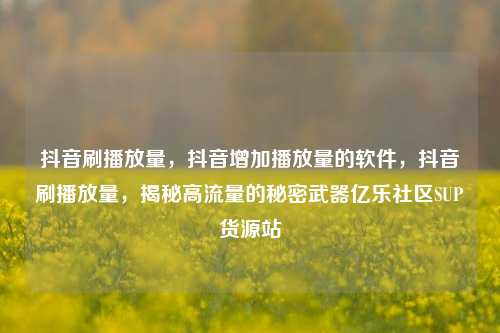 抖音刷播放量	，抖音增加播放量的软件，抖音刷播放量，揭秘高流量的秘密武器亿乐社区SUP货源站  第1张