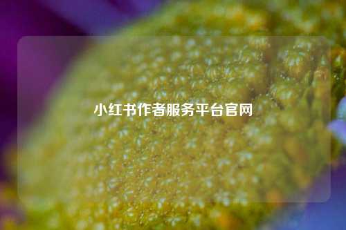 小红书作者服务平台官网  第1张