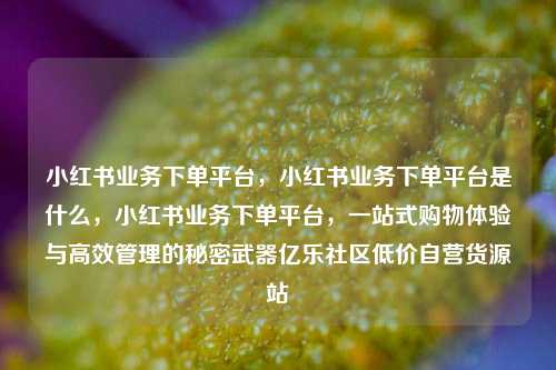 小红书业务下单平台，小红书业务下单平台是什么，小红书业务下单平台	，一站式购物体验与高效管理的秘密武器亿乐社区低价自营货源站  第1张