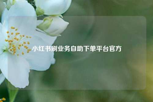 小红书刷业务自助下单平台官方  第1张