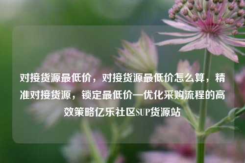 对接货源最低价，对接货源最低价怎么算	，精准对接货源，锁定最低价—优化采购流程的高效策略亿乐社区SUP货源站  第1张