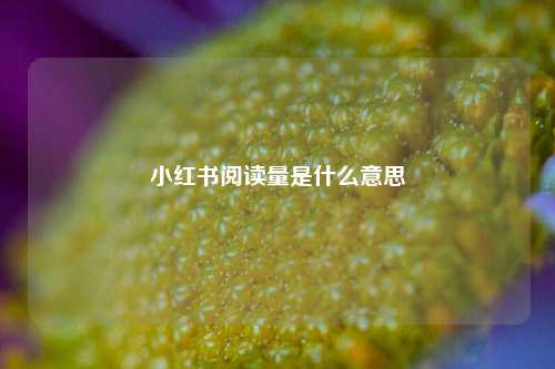 小红书阅读量是什么意思  第1张