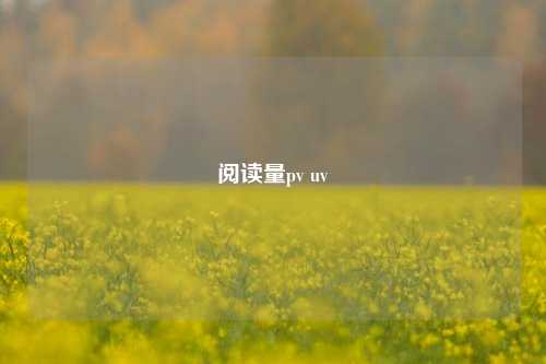 阅读量pv uv  第1张