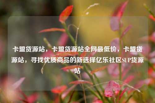 卡盟货源站，卡盟货源站全网最低价	，卡盟货源站，寻找优质商品的新选择亿乐社区SUP货源站  第1张