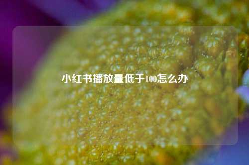 小红书播放量低于100怎么办  第1张