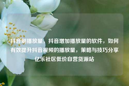 抖音刷播放量	，抖音增加播放量的软件，如何有效提升抖音视频的播放量，策略与技巧分享亿乐社区低价自营货源站  第1张